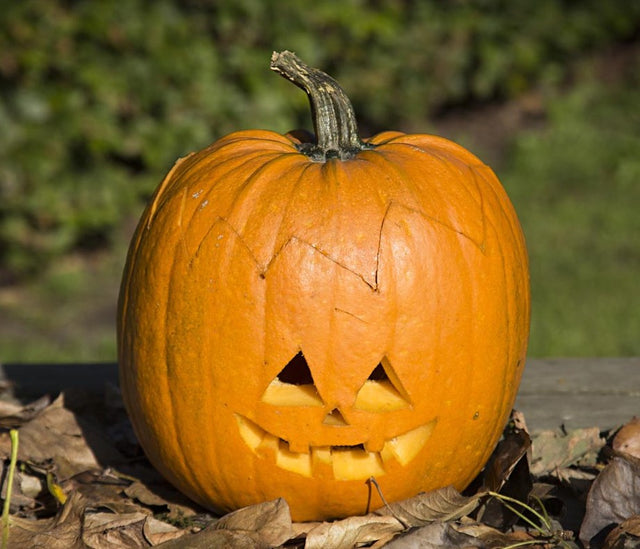 Gør klar til Halloween