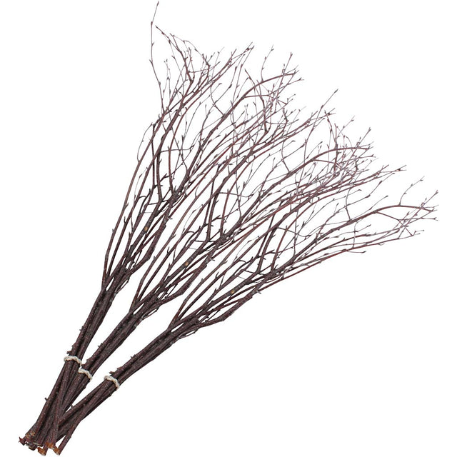Fastelavnsris, L: 50-60 cm, 20 stk./ 1 pk.