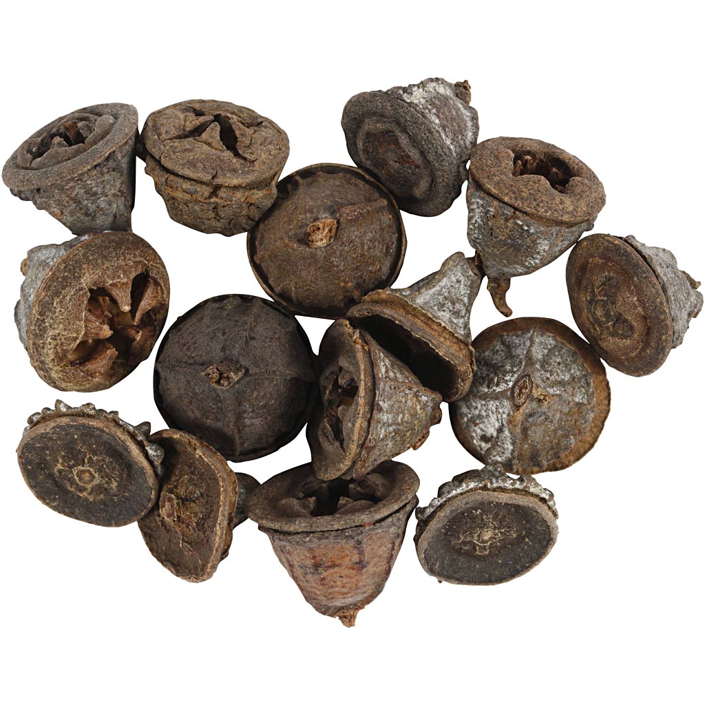 Eucalyptuskogler, 25 g/ 1 pk.